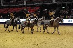 Quadrille - 00853